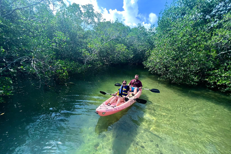 Tavernier, FL: Mangrove and Manatees Guided Kayak Eco Tour