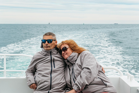 Saint-Malo: Guided Boat Tour with Local Captain 1-Hour Boat Tour