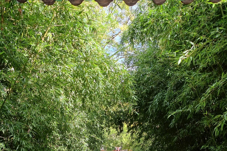 Da Seul: villaggio di Jeonju Hanok e tempio Maisan TapsaDa Seul: villaggio Hanok di Jeonju e tempio Maisan Tapsa