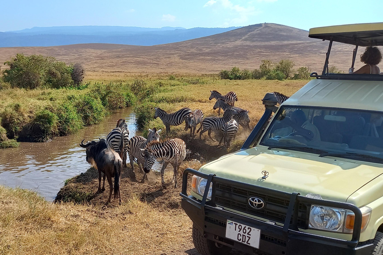 6 Days Calving Season wildebeest migration in Ndutu