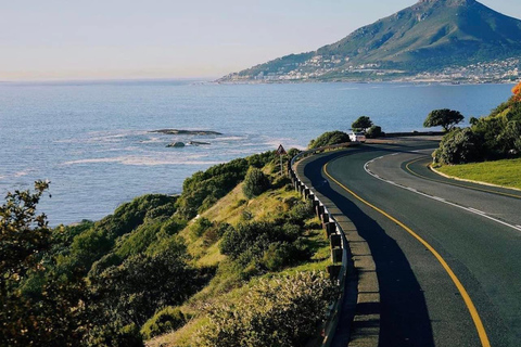 Cape of Good Hope and Penguins Full-Day Private Tour Private tour: Cape of Good Hope and Penguins Full-Day Tour