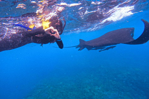 Z Bali na wyspę Nusa Lembongan: Transfer szybką łodziąZ Bali na wyspę Nusa Lembongan: Transfer w 1 stronę