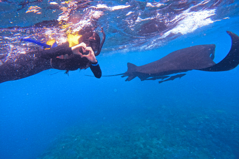 Vanuit Bali naar Nusa Lembongan: snelle boottochtVanuit Nusa Lembongan naar Bali: enkele reis