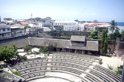 Visite de Stone Town (depuis la ville)