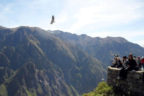 Excursie naar de Colca Canyon eindigend in Puno