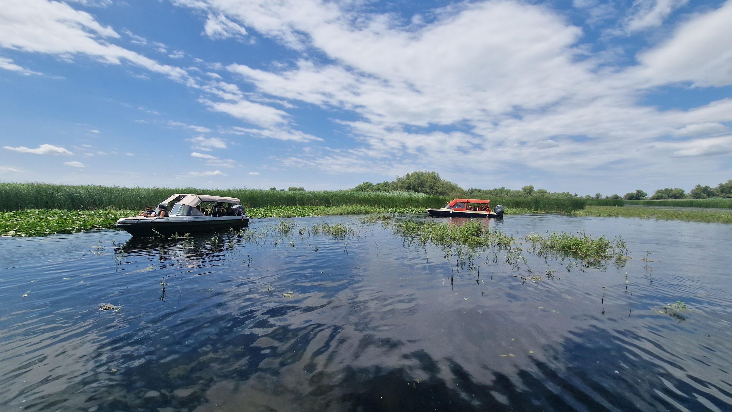 Ab Tulcea: Schnellboot-Tour durch das Donaudelta mit Besuch in Mila 23