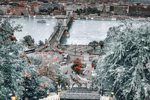 Vienna: Bratislava and Budapest Day Trip with Guide