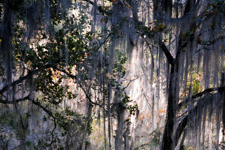 Oaxaca: Hiking Tour In the Sierra Norte With Lunch