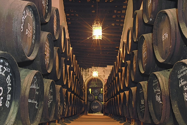 Jerez dalla Costa del Sol: cantine con degustazione di vini e spettacolo equestreJerez from the Costa del Sol: Wineries with Wine Tasting and Equestrian Show