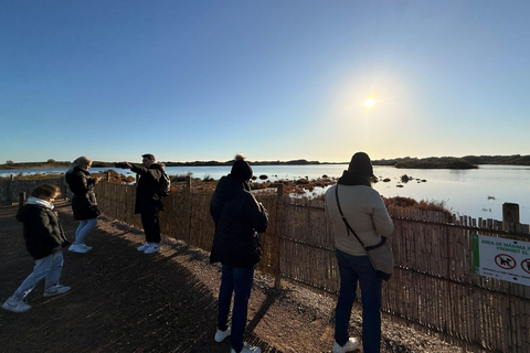 Albufera de Valencia: Mediterranean Forest and Sailing on the Albujaira