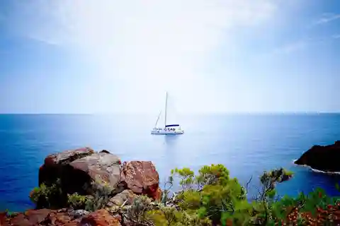Denia/Jávea: una giornata al mare con paella a Isla Portitxol