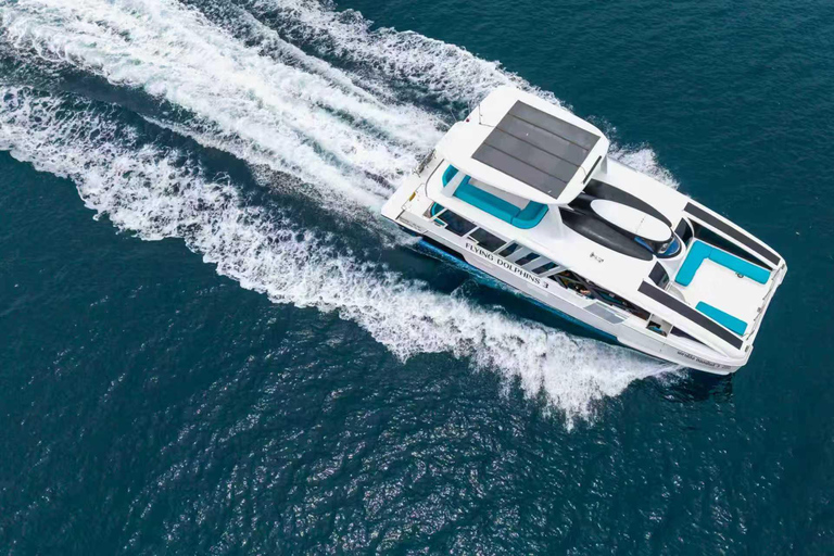 Phuket: Premium Speed Catamaran Tour to PhiPhi Maya Maiton Phuket: Premium Catamaran Tour to Phi Phi & Coral Island