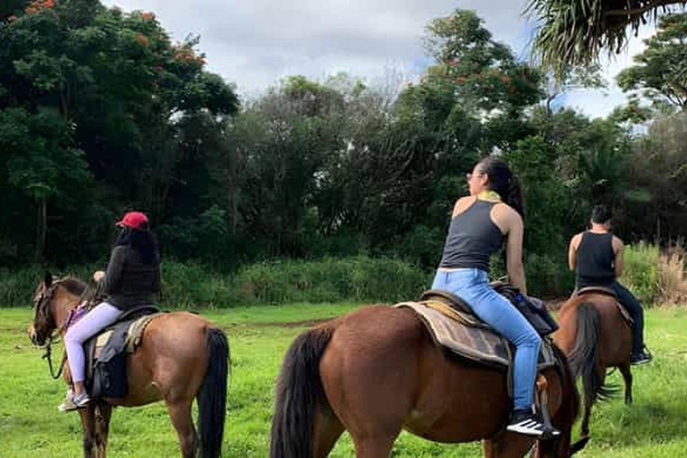 Puerto Plata: Horseback Riding Tour with Lunch & Transfer