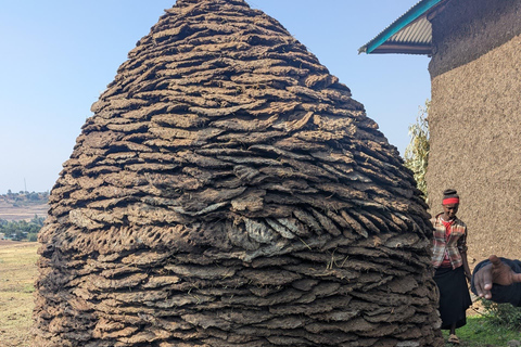 Blue Nile Gorge Wildlife & Cultural Day Trip