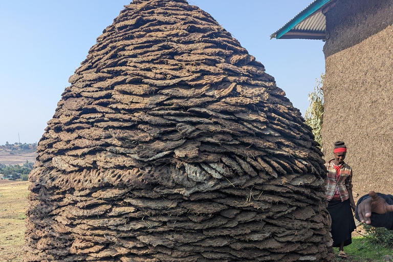 Blue Nile Gorge Wildlife & Cultural Day Trip