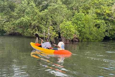 Bentota/Beruwala: Galle Fort, Koggala Lake & Kayaking Tour