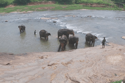 Sri Lanka: 12-dagars naturskön äventyrsresa