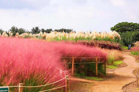 Jeju: South & West Coast Highlights Small Group Day Tour