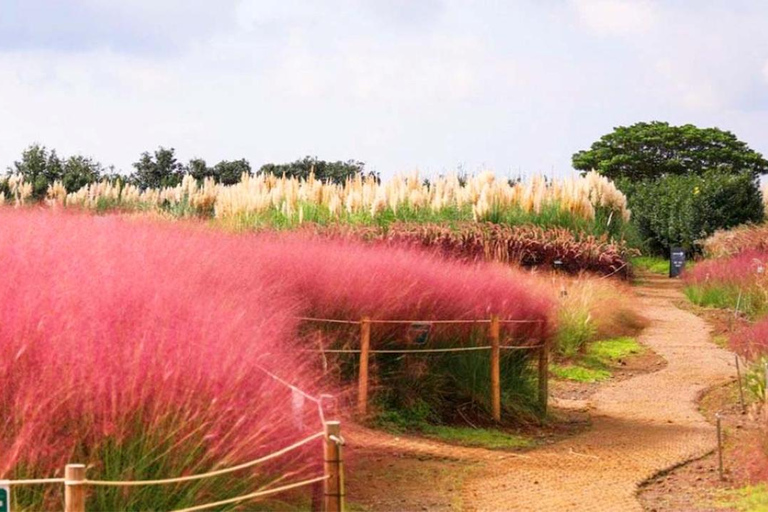 Jeju: South & West Coast Highlights Small Group Day Tour