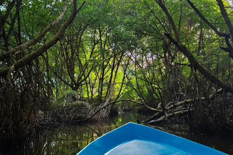 Bentota: River Safari with Wildlife and Island Visits