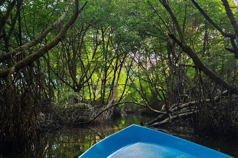 Bentota: River Safari with Wildlife and Island Visits