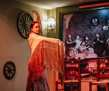 Seville: Flamenco Show with Andalusian Dinner at La Cantaora