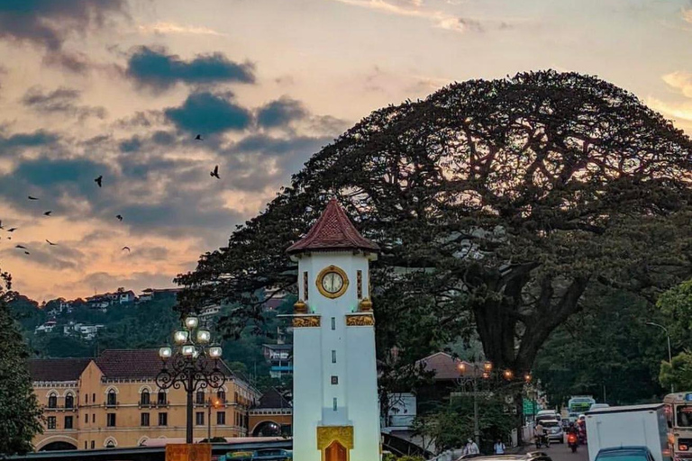Kandy Night Tuk-Tuk Experience with a Local Friend
