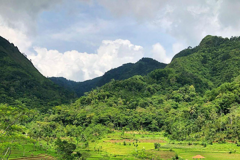 Selogriyo Temple and Java Rice Terrace Guided Trekking Tour Selogriyo Temple Java Rice Terrace Guided Trekking Tour