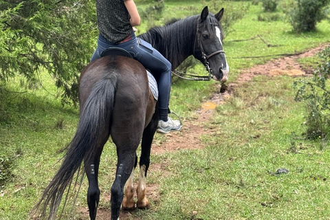 Addis Ababa: Mount Entoto Hike, Injera & Hyena Experience