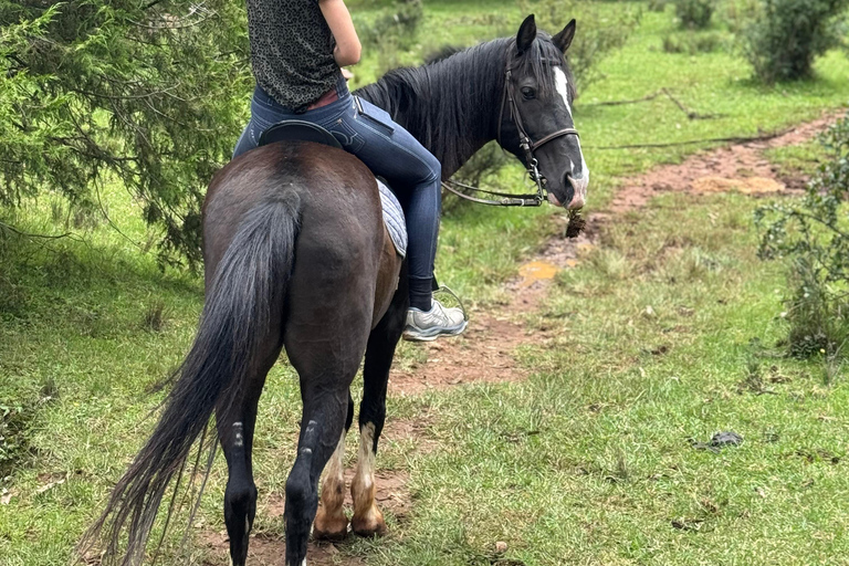 Addis Ababa: Mount Entoto Hike, Injera & Hyena Experience