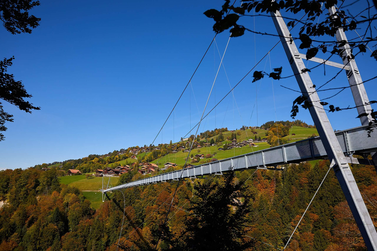 Atterraggio di fortuna su di te: Tour di un giorno in Svizzera da Zurigo