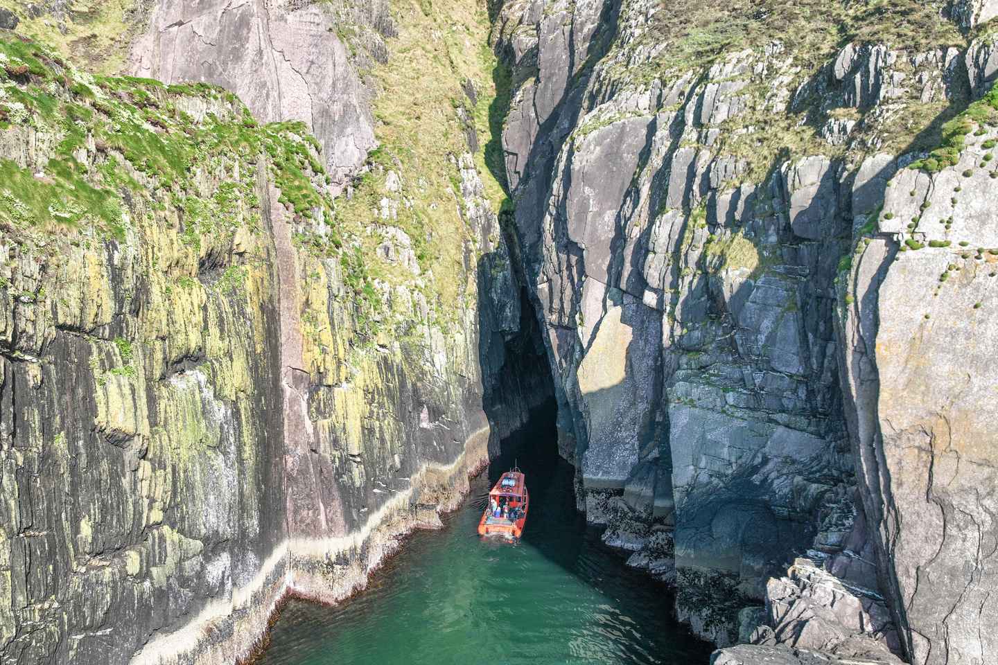 Excursion Faune de la Grande Île Blasket avec Débarquement