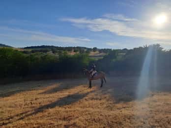 Bracciano: passeggiata a cavallo sui Monti della Tolfa