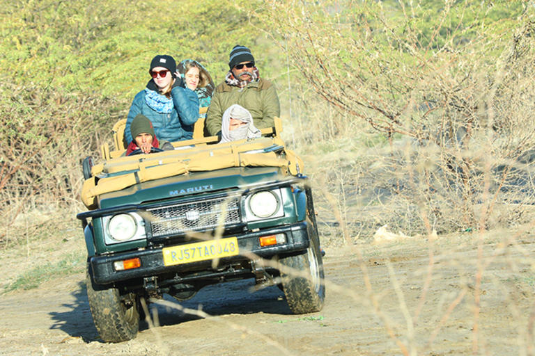 From Udaipur: 3-Day Jawai Leopard Safari & City Tour