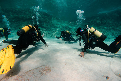 Mallorca: Try Scuba Diving by Boat