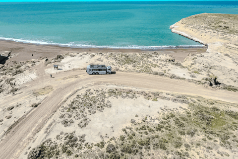 El Calafate: Monte León 4x4 Wolves and Penguins Excursion