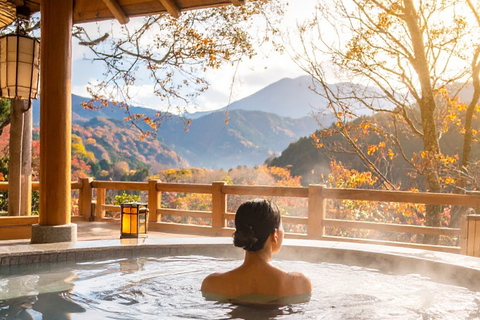 From Tokyo & Nagano: Snow Monkey Private Customizable Tour