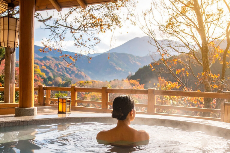 From Tokyo & Nagano: Snow Monkey Private Customizable Tour