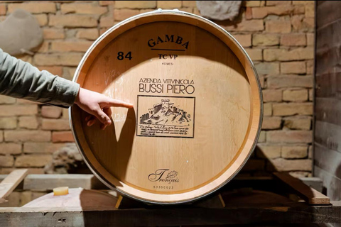 Langhe & Monferrato: Vineyard Tour and Wine Tasting