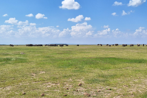 Nairobi: Amboseli National Park Tagestour mit PirschfahrtenSolo Nairobi: Amboseli National Park Tagestour