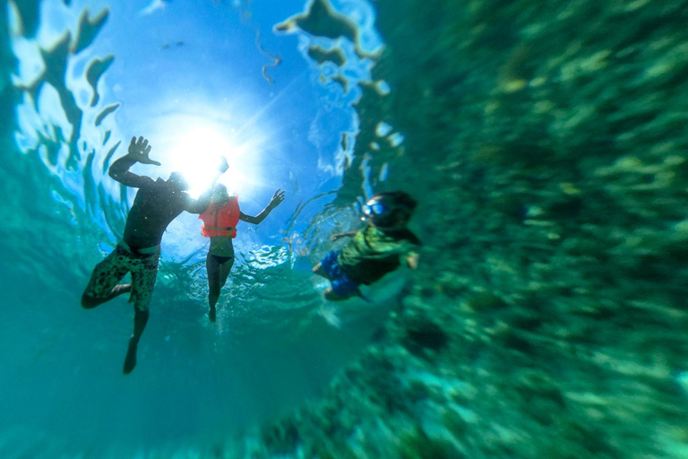 De Zanzibar: Passeio de mergulho com snorkel na Ilha Mnemba com almoçoExcursão compartilhada para mergulho com snorkel na Ilha Mnemba com almoço