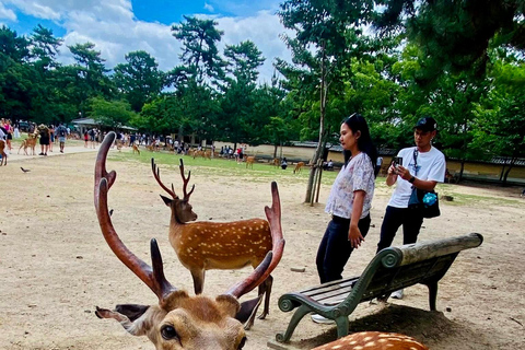 Kyoto & Nara: Private Custom Guided Tour with Hotel Pickup