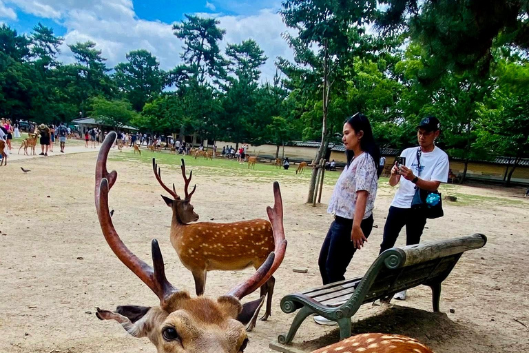 Kyoto & Nara: Private Custom Guided Tour with Hotel Pickup