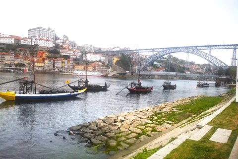 Full Day Private Tour from Lisbon to Porto