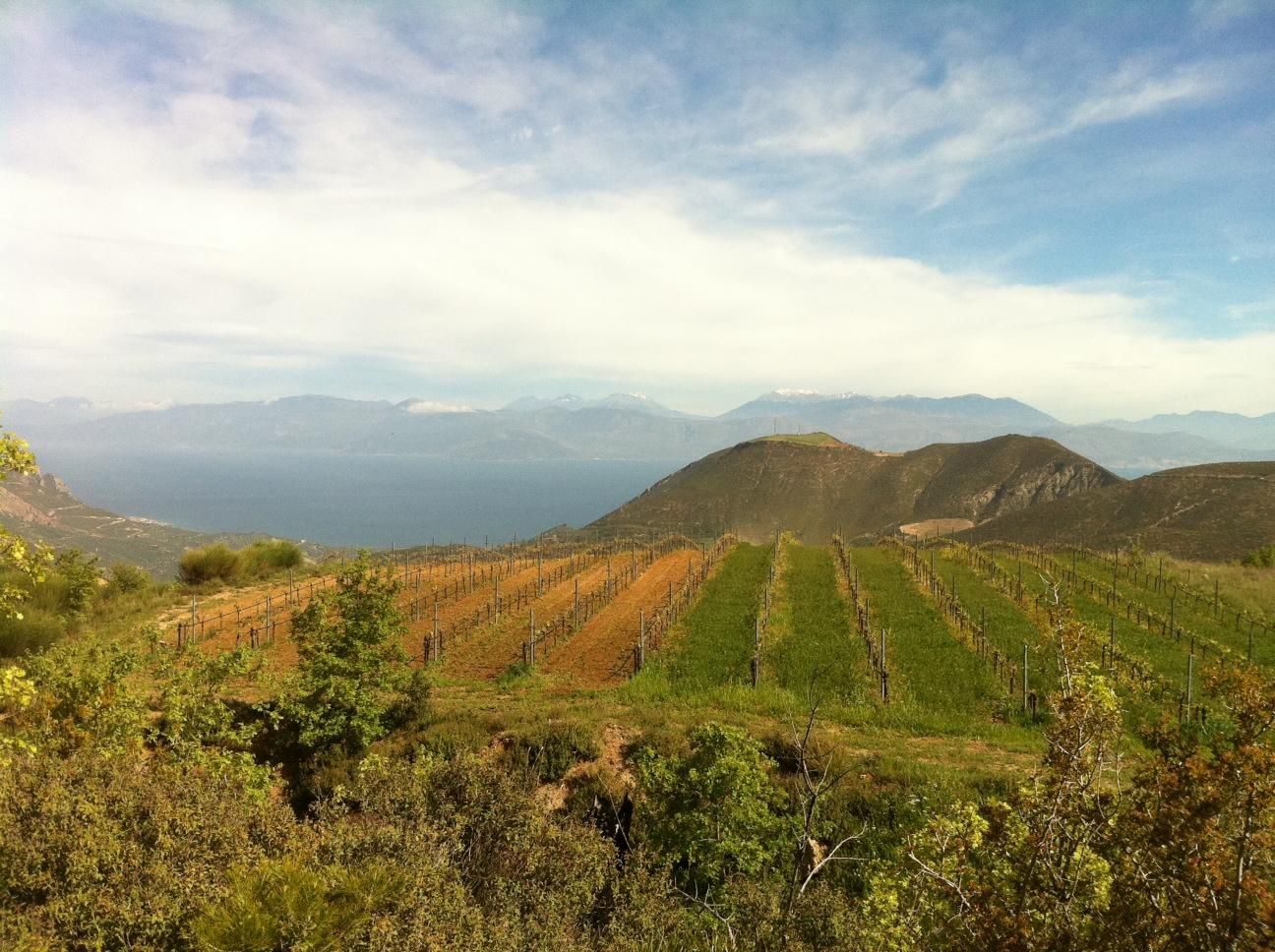 Patras: Kalavrita, Höhle der Seen und Weingut-Tour