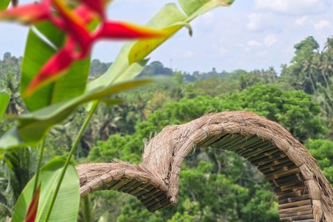 Bali: Griya Beji Water Ritual plus Monkey Forest and Swing