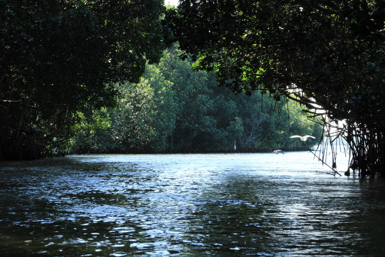 From Puerto Escondido: Day Trip to Chacahua National Park