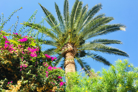 Excursion à Ibiza - Visite privéeExcursion à terre Ibiza - Visite privée