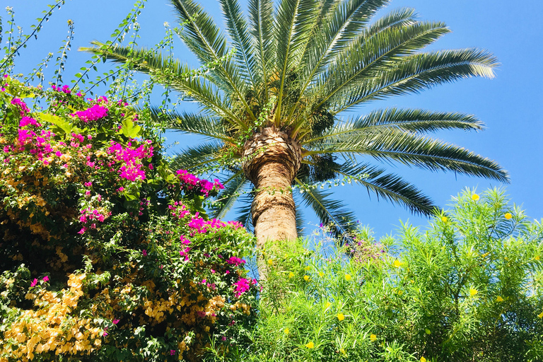 Excursion à Ibiza - Visite privéeExcursion à terre Ibiza - Visite privée