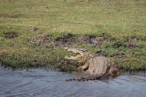 Chobe Extended Day Trip